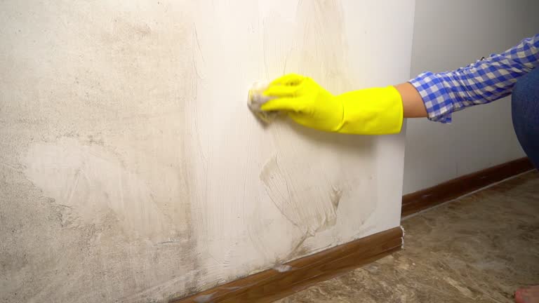 Hiram, GA Mold Inspection, Removal & Remediation Company